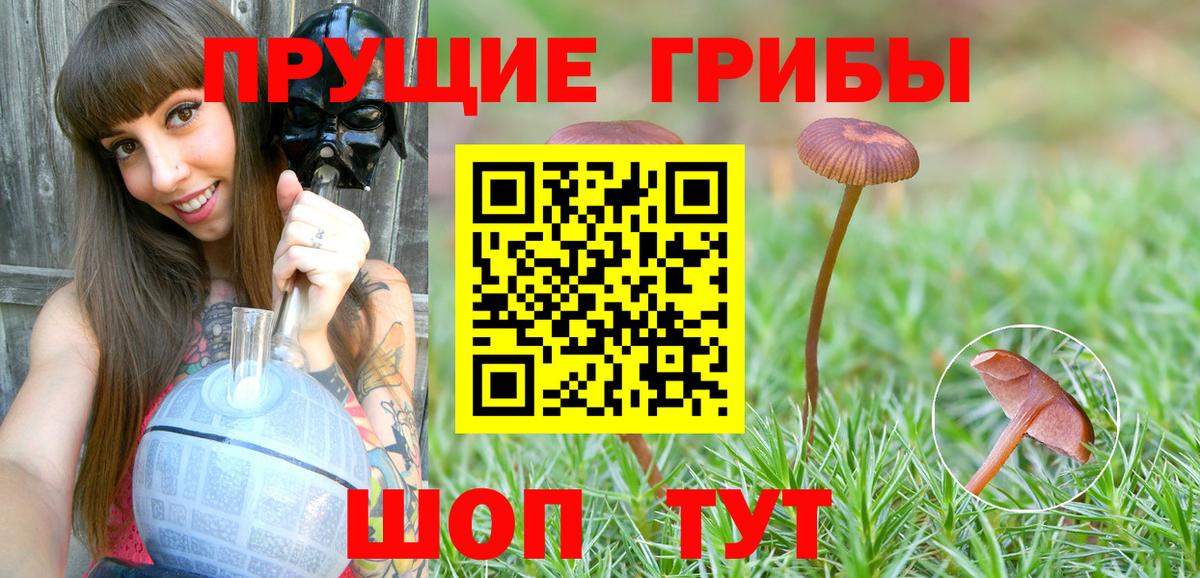 Махачкала  Галлюциногенные грибы ЛСД  Вход с VPN 